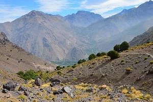 Challenge Trek 3 Days from Marrakech to Toubkal with a Toubkal guide