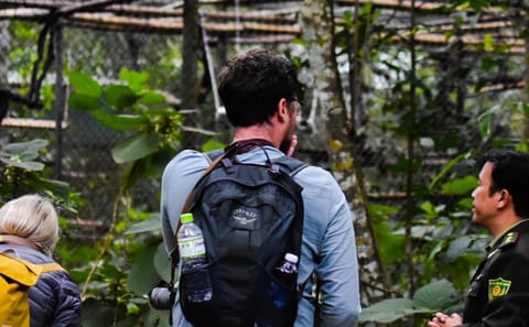 Hiking Adventure in Cuc Phuong National Park from Hanoi