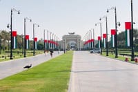 Old & Modern Dubai Tour with Blue Mosque and Miracle Garden 9