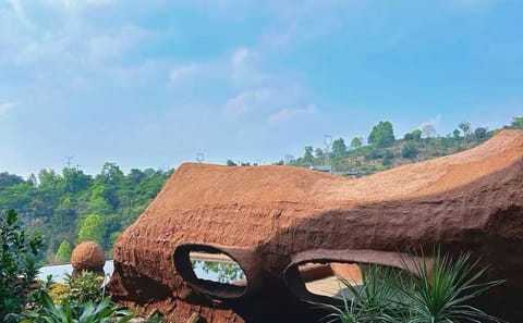 Yunnan Coffee Valley Half-Day Tour with Tastings and Insights