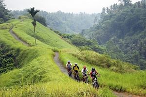 Ubud Electric Bike Tour to Tegallalang Rice Terraces