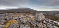 Walk Mullaghmore hill in the Burren, Clare. Private guided. 2 hours 9