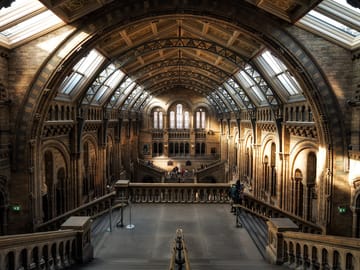natural history museum, london