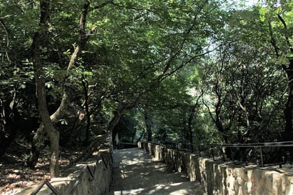 Private tour from Thessaloniki to Meteora