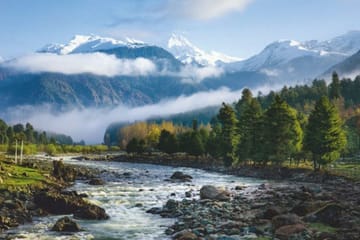 7-Day Romantic Honeymoon Tour in Kashmir from Srinagar