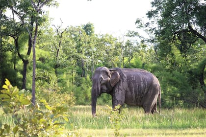 Vietnam Adventurescape 15 days 14 nights