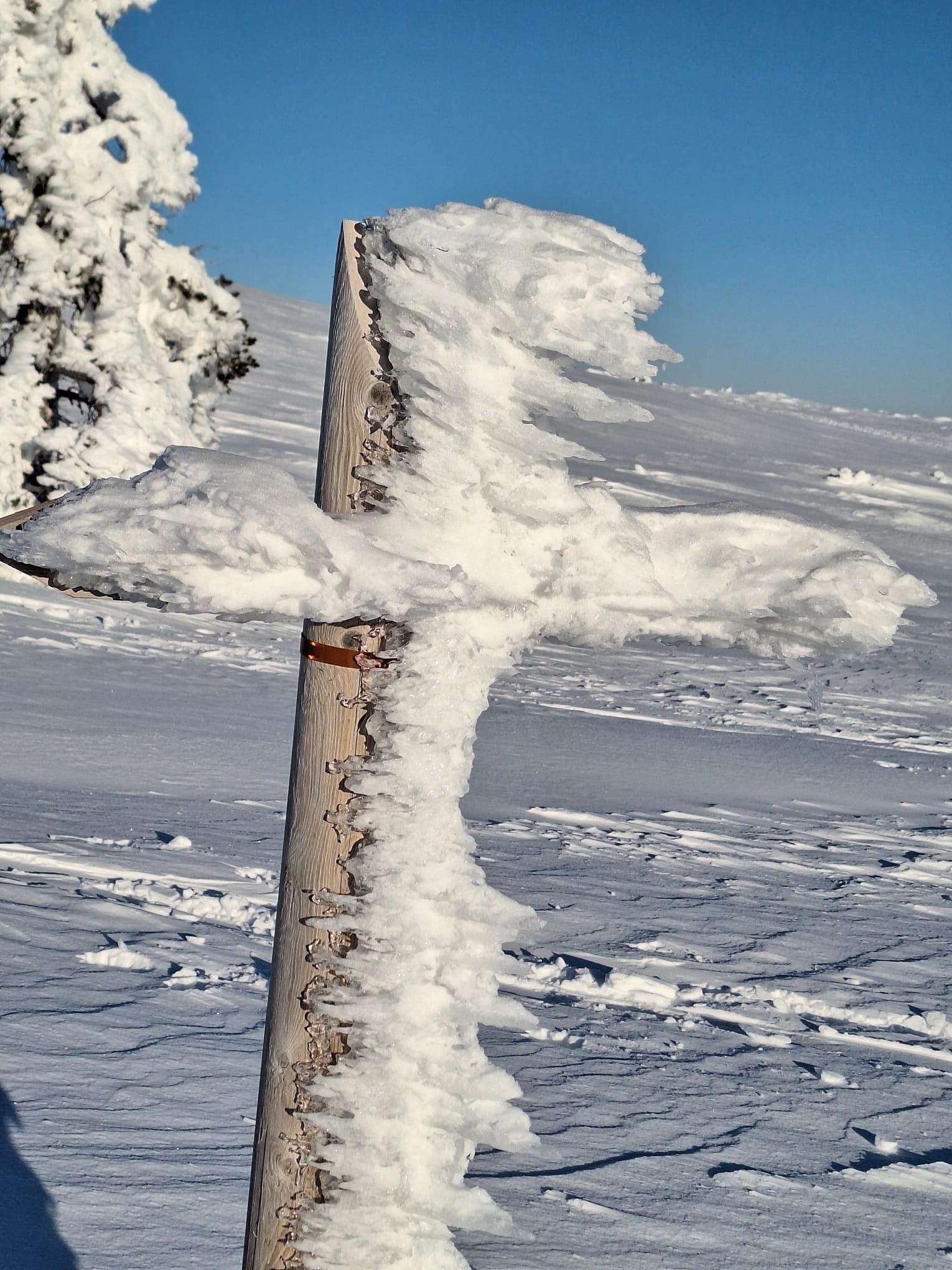 Close-up of a wooden trail pole covered in thick frost and snow, standing in a vast snowy landscape under clear blue skies.