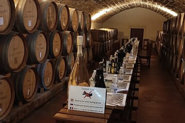 Private Wine Tasting and Scenic Tour in Chania, Greece