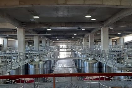 Private Colchagua Valley wine tour all inclusive from Santiago