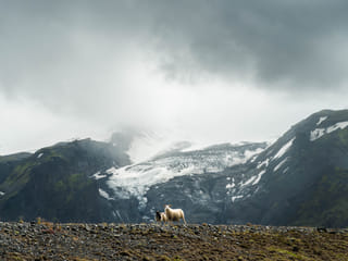 Þórsmörk Super Jeep Tour - 2 days, photo 11