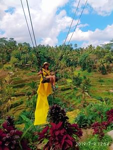 Bali: Best of Jungle Swing with Ubud Sightseeing Tour 