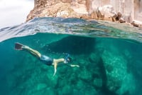 Los Cabos Ultimate Snorkeling Adventure with Open Bar 4