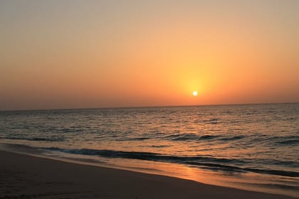 Private Half-Day Muscat City At Night Tour