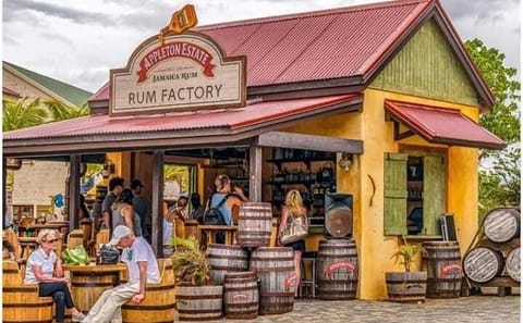 Ys Falls and Appleton Estate Tour in Montego Bay