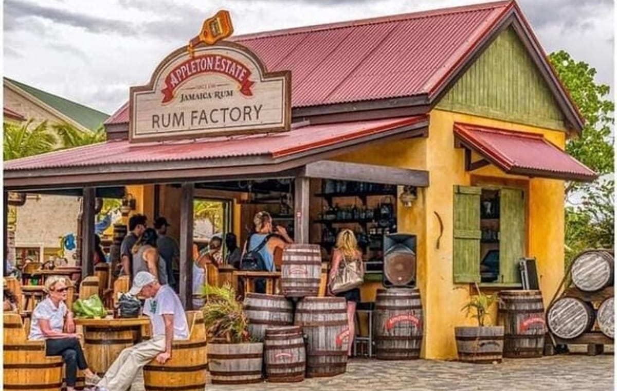 Ys Falls and Appleton Estate Factory Tour with private transportation