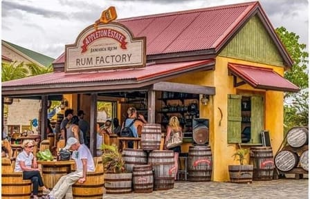Ys Falls and Appleton Estate Tour in Montego Bay