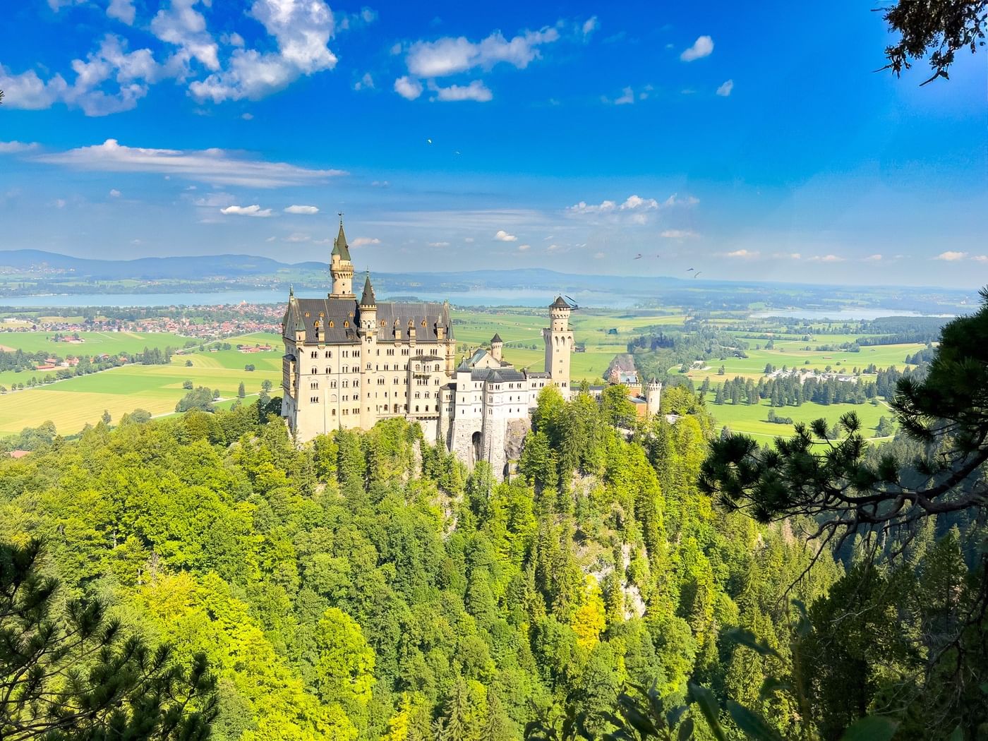 Neuschwanstein castle full day tour from munich private driver