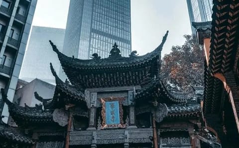 Chongqing City Tour and Yangtze River Cruise Experience