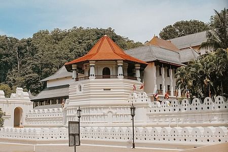 Kandy Day Tour: Explore the Temple of the Tooth & Royal Botanical Garden