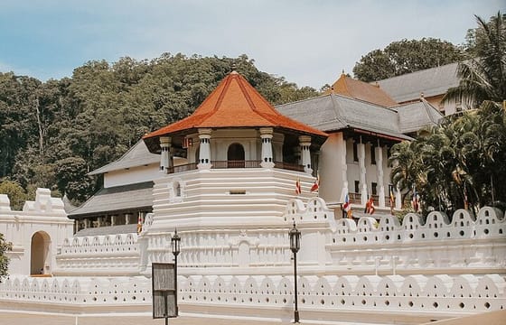 Kandy Private Day Tour from Colombo/Negombo