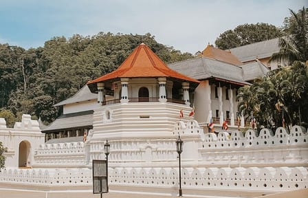 Private Day Tour of Kandy's Cultural Highlights from Colombo