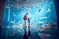 Dubai City Wonders & Lost Chambers Aquarium Experience 2