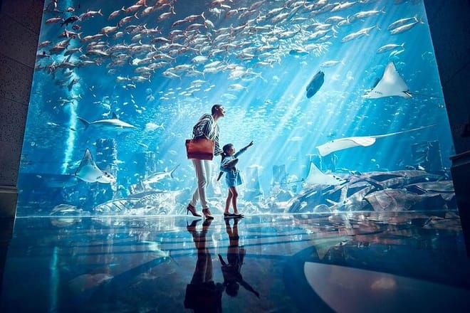 Dubai City Wonders & Lost Chambers Aquarium Experience 2
