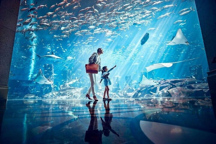 Dubai City Wonders & Lost Chambers Aquarium Experience 2