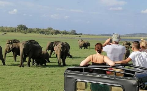 Luxury 10-Day Private Tour of Anuradhapura and Central Sri Lanka