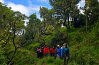 7-Day Mount Kilimanjaro Climb: Classic Machame Route Adventure Hike 1