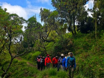 7-Day Mount Kilimanjaro Climb: Classic Machame Route Adventure Hike