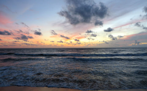 Negombo City Tour with Market Visits and Lagoon Exploration