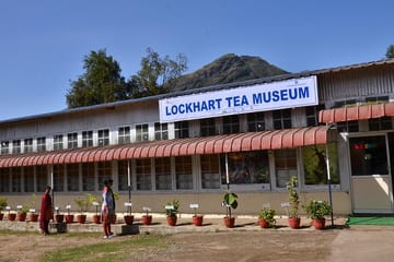 Kochi to Munnar Scenic Three-Day Nature Tour