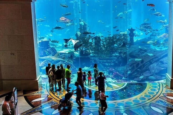 Dubai City Wonders & Lost Chambers Aquarium Experience 9