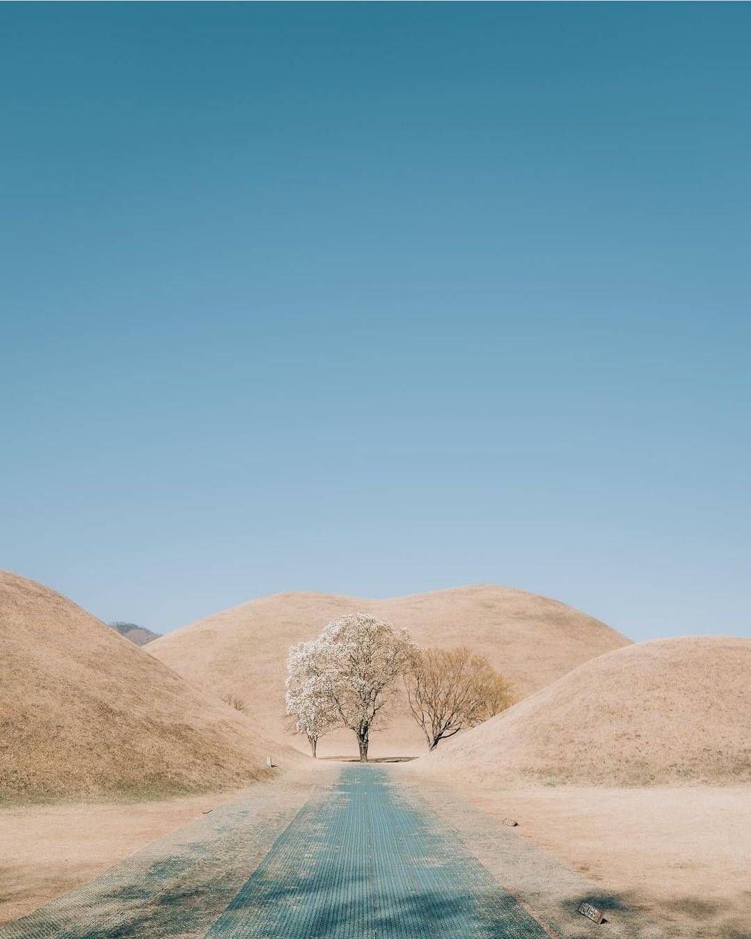 Large grassy burial mounds within the Daereungwon ancient tomb complex.