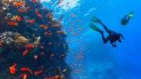 Discover Scuba Diving In Kefalonia 5