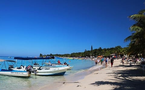 West Bay Beach Tour with Chocolate and Rum Factory Visit