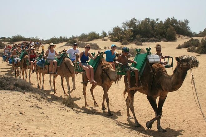 Camel Tour on the Dunes