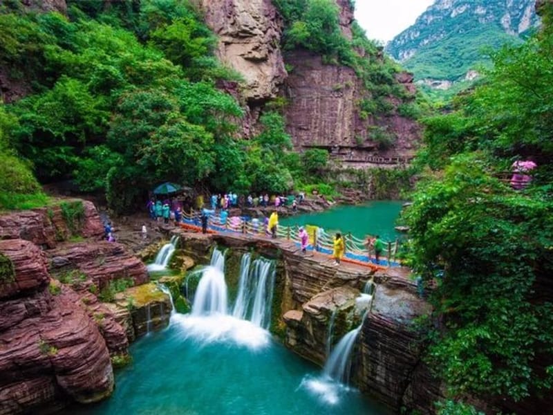 Luoyang Peony Festival Seasonal Day Tour (April-May Only)
