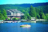 Full-Day Private Tour from Zurich to Lake Titisee Black Forest 8