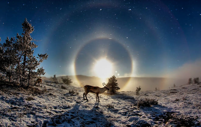 Snowshoe Trip for Searching Arctic Animals and Wilderness Views - Kemi photo 6