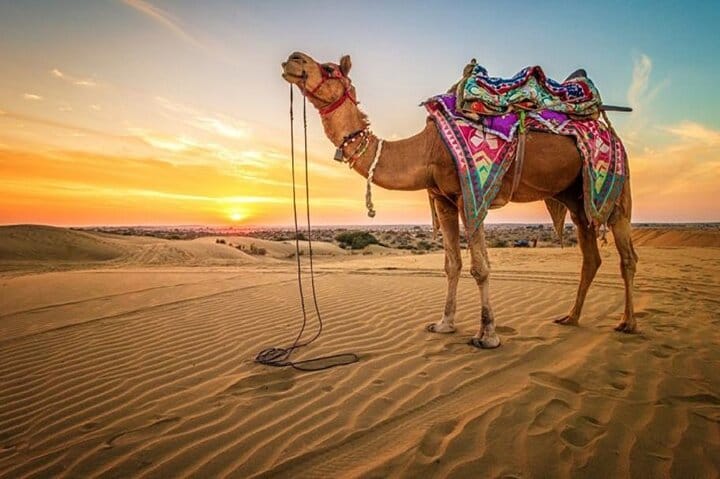  Family Buggy Adventure Desert Safari Tour from Sharm El Sheikh 10