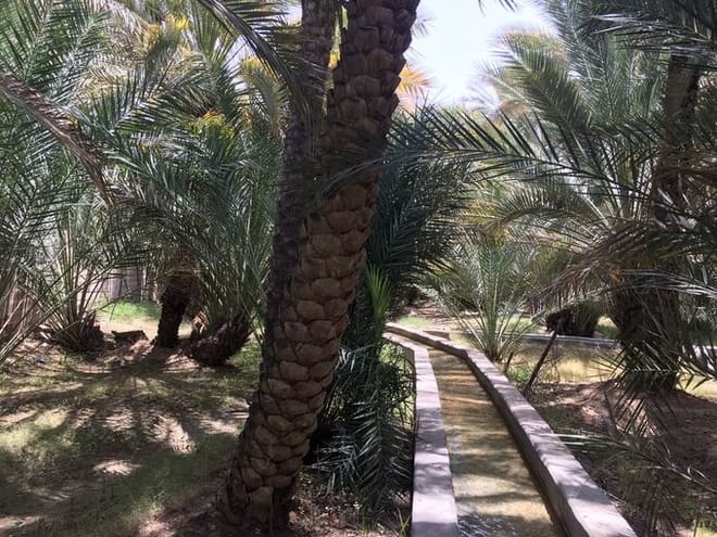 Al Ain Private City Tour With Lunch At The Top Of Jabel Hafeet Mountain  8