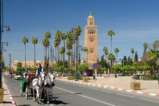 Marrakech City Highlights Half-Day Tour