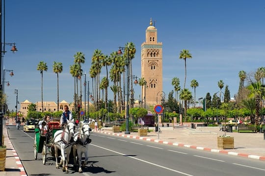 Half-Day Marrakech Sightseeing Tour