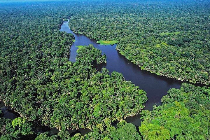 3-Day Tour in Tortuguero National Park with Pick Up