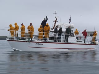 Reykjavik's Finest Catch: Guided Sea Angling Tour for All Levels, photo 14