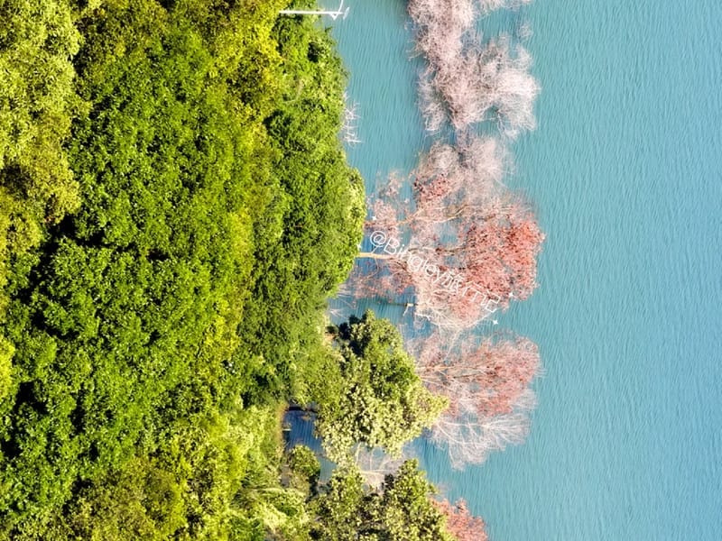 Shenzhen: Lakeside Hills & Cloud Reservoir Private Day Trip