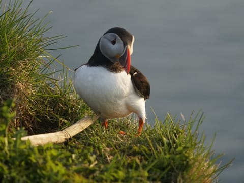South Coast Private Day Tour, photo 4