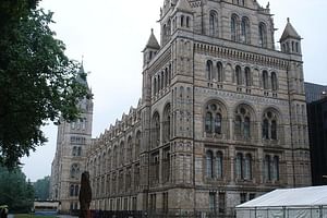 A Day At The Museum - Natural History Museum London